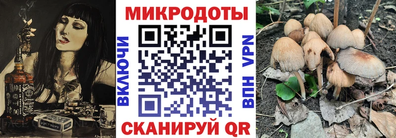 Псилоцибиновые грибы Psilocybine cubensis что такое наркотик Благодарный